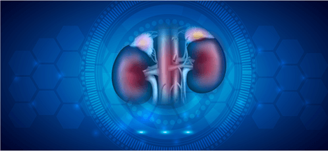 Kidney cancer epigenetics