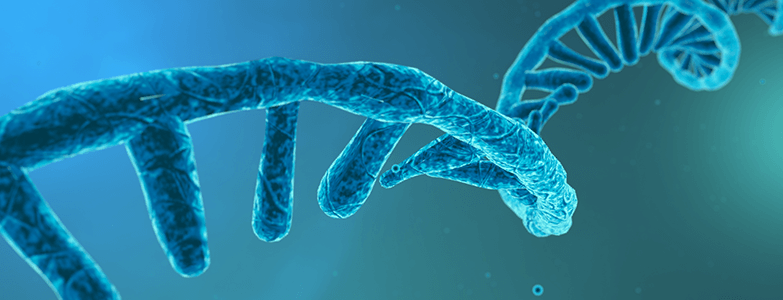Guide to Single-Cell RNA-Seq