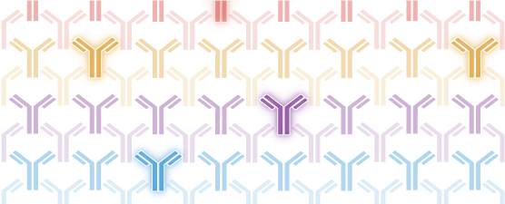 Antibodies