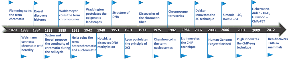History of Chromatin