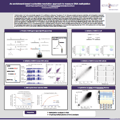 Anchor-Based Bisulfite Sequencing (ABBS) Poster
