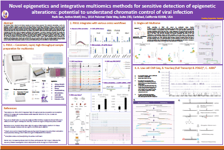 Chromatin Viral Poster