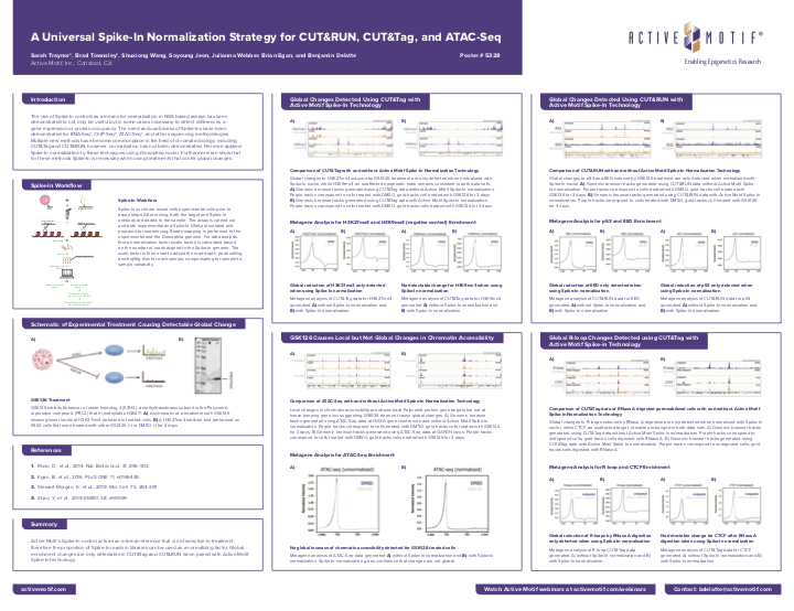 Spike-In AARC 2024 Poster