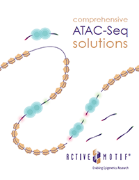 Comprehensive ATAC-Seq Solutions