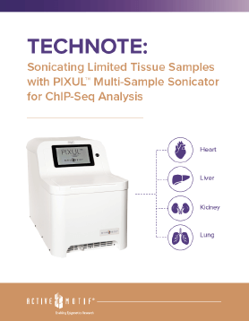 Sonicating Limited Tissue Samples