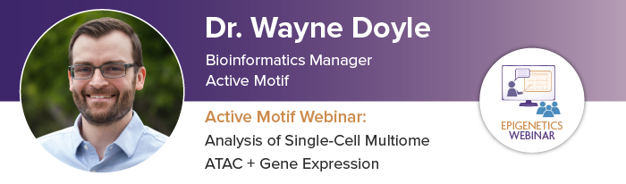 Analysis of Single-Cell Multiome ATAC + Gene Expression