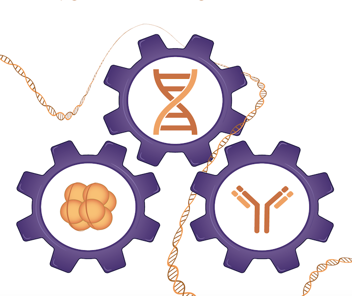 Epigenetic Services