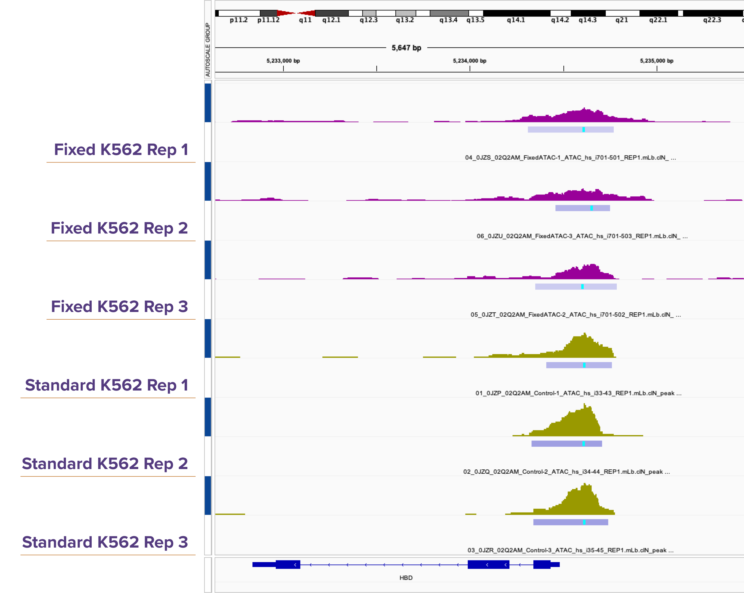 Genome browser tracks