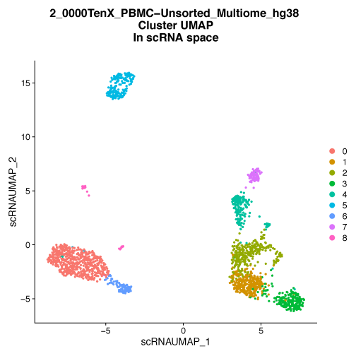 scMultiome cluster map in scRNA space