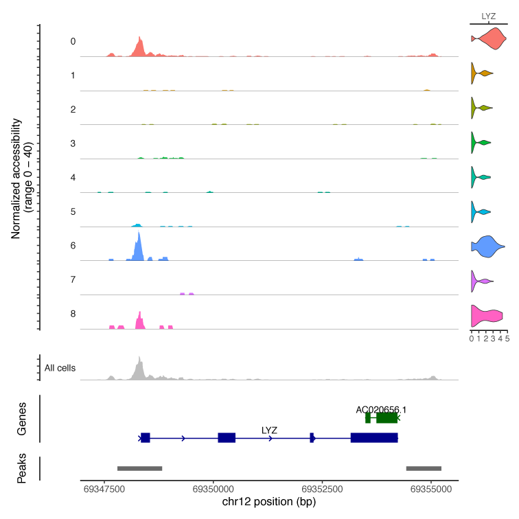 Single-Cell Multiome peak map
