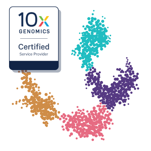 scRNA-Seq Service