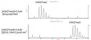 PRC2 EZH2(Y641C) complex activity assay