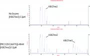 PRC2 EZH2 (A677G) complex activity assay