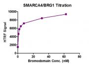 <b>HTRF Assay for SMARCA4/BRG1 (1448-1569) Activity.