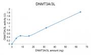 DNMT3A / DNMT3L complex DNMT assay