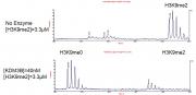 JMJD1B / KDM3B activity assay