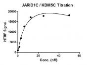 JARID1C / KDM5C activity assay
