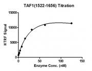 Recombinant TAF1 (1522-1656) protein activity assay.