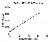 Recombinant TAF1 (1522-1656) protein activity assay.