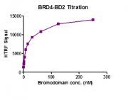 BRD4 (333-460) HTRF activity assay