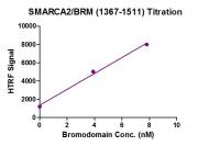 HTRF Assay for SMARCA2 / BRM (1367-1511) activity.
