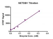 HTRF Assay for Recombinant SETDB1 protein activity.