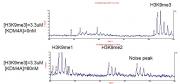 JMJD2A / KDM4A activity assay