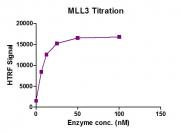 Recombinant KMT2C (MLL3) complex  activity assay
