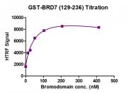 HTRF Assay for Recombinant BRD7 (129-236), GST-Tag protein activity.