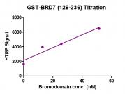 HTRF Assay for Recombinant BRD7 (129-236), GST-Tag protein activity.