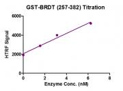 BRDT (257-382) HTRF activity assay