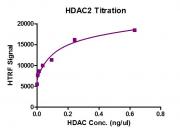 HDAC2 protein activity assay