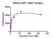 HDAC-Glo Class IIa Assay for HDAC4 activity