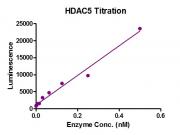 HDAC-GloTM Class IIa Assay for HDAC5 activity