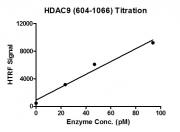 HDAC-Glo&trade; Class IIa Assay for HDAC9 activity