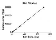 MTase-Glo assay for METTL3 / METTL14 Complex m6A methyltransferase activity