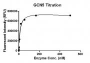 Recombinant KAT2A (GCN5) protein activity assay.