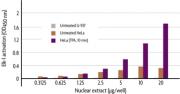 Figure 1: Monitoring Elk-1 activity in different cell lines with the TransAM Elk-1 Kit.