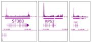RNA pol II antibody (mAb) tested by ChIP-Seq.