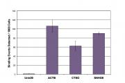 Histone H3K27ac antibody (pAb) tested by ChIP.