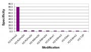 Histone H3 dimethyl Lys4 antibody specificity tested by peptide array analysis.