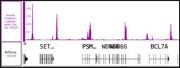 Histone H3K4me3 antibody (pAb) tested by ChIP-Seq.