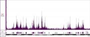 Histone H4K16ac antibody (pAb) tested by CUT&Tag.