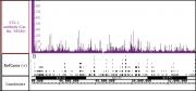 Ets-1 antibody (pAb) tested by ChIP-Seq.