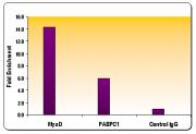 Histone H3K9me2 antibody (pAb) tested by ChIP.