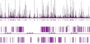 Androgen Receptor antibody (pAb) tested by ChIP-Seq.
