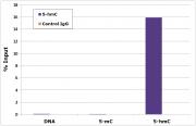 5-Hydroxymethylcytosine (5-hmC) antibody (pAb) tested by MeDIP analysis.