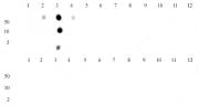 Histone H3K4me2 antibody (pAb) tested by dot blot analysis.
