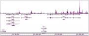 Histone H4ac (pan-acetyl) antibody (pAb) tested by ChIP-Seq.