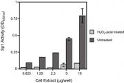MCF-7 nuclear extract (H2O2 post-treated)